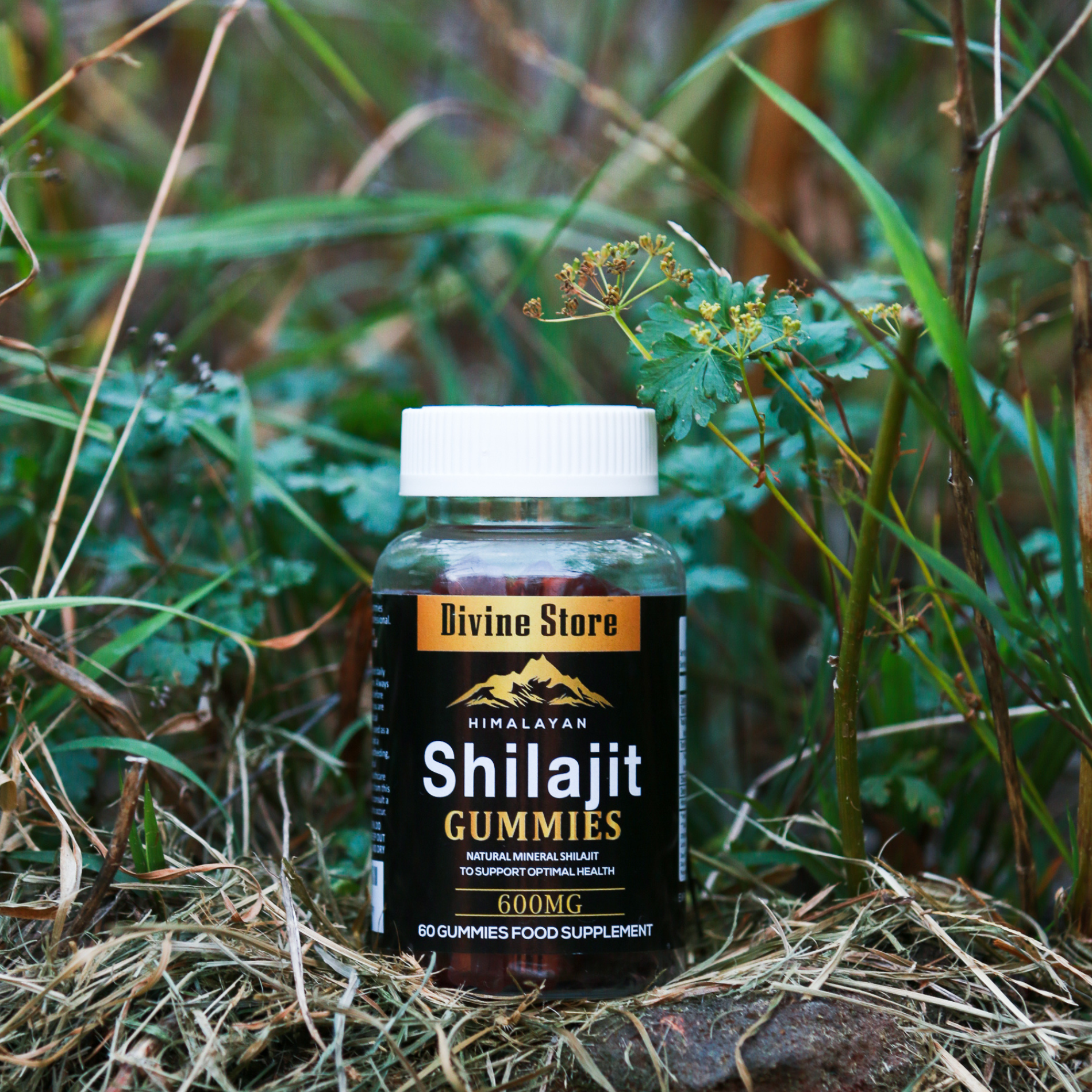 Pure Himalayan Shilajit Gummies Natural Energy Focus Immune Support 60 Vegan Pac