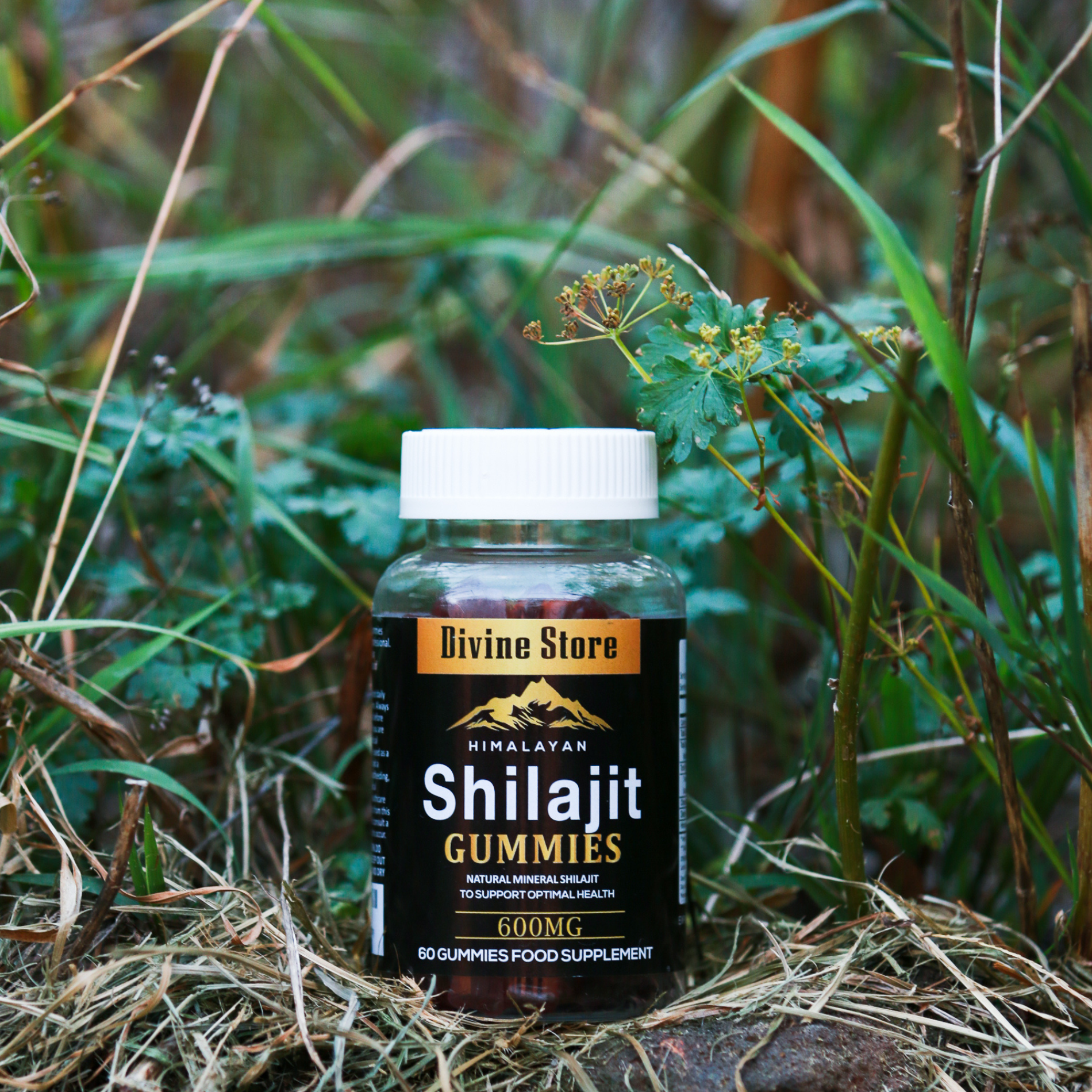 Pure Himalayan Shilajit Gummies Natural Energy Focus Immune Support 60 Vegan Pac
