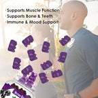 Elderberry Immune Gummies Vegan Vitamin C D3 Zinc 60 Pack Daily Health Support
