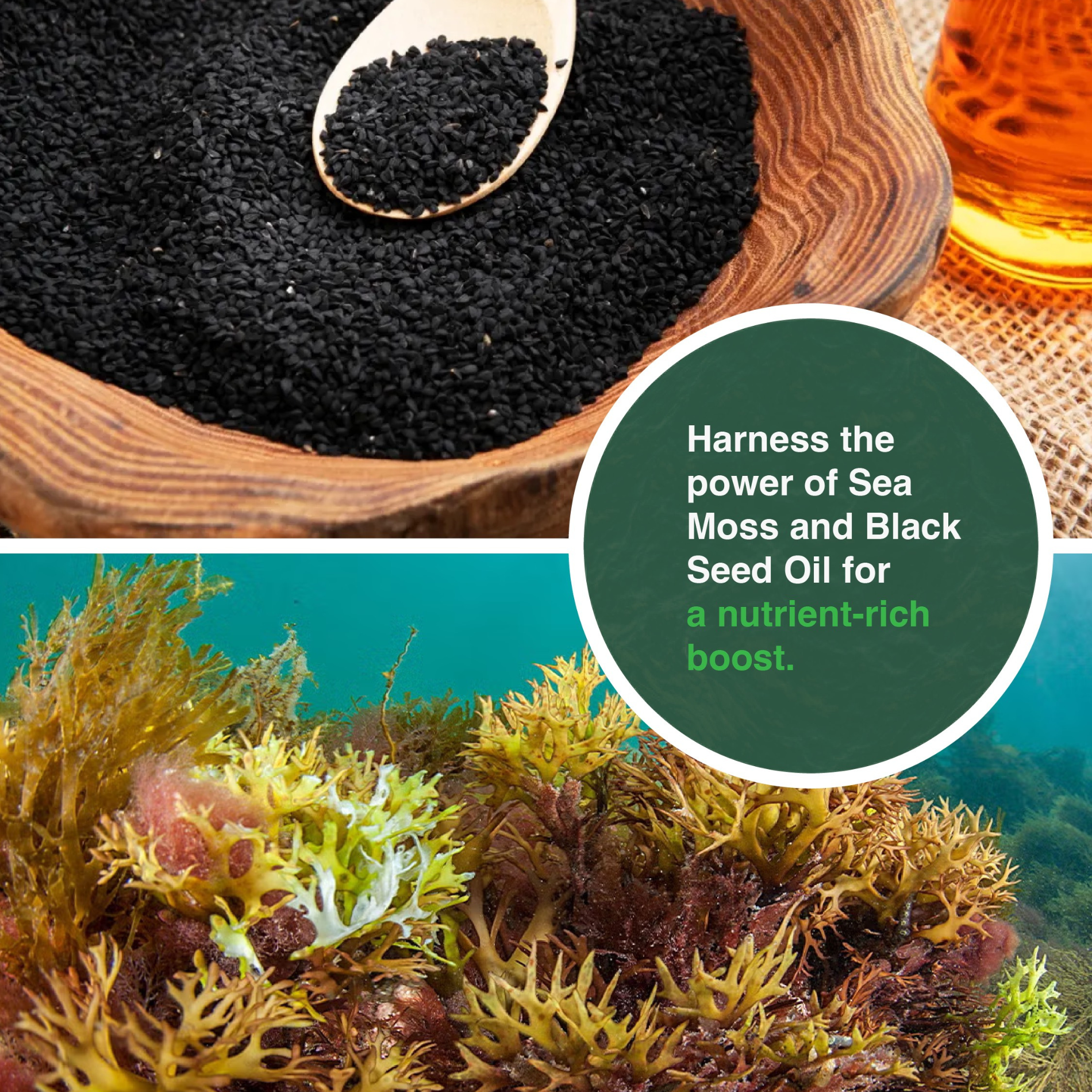 Sea Moss Black Seed Oil Ashwagandha Ginger Capsules – Energy, Stress, Immunity