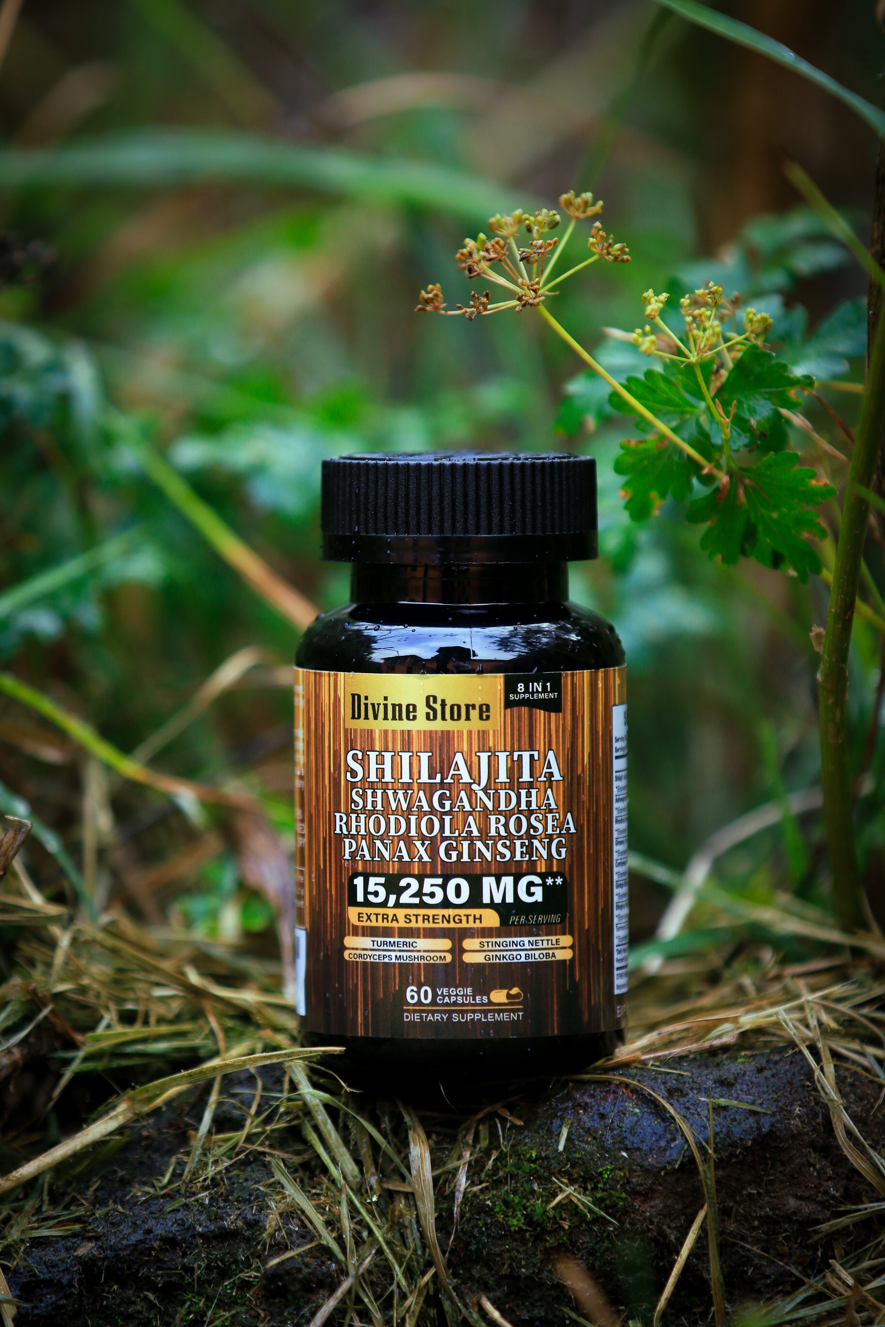 Shilajit Black Seed Oil Ginger Natural Energy Immunity Digestive Support