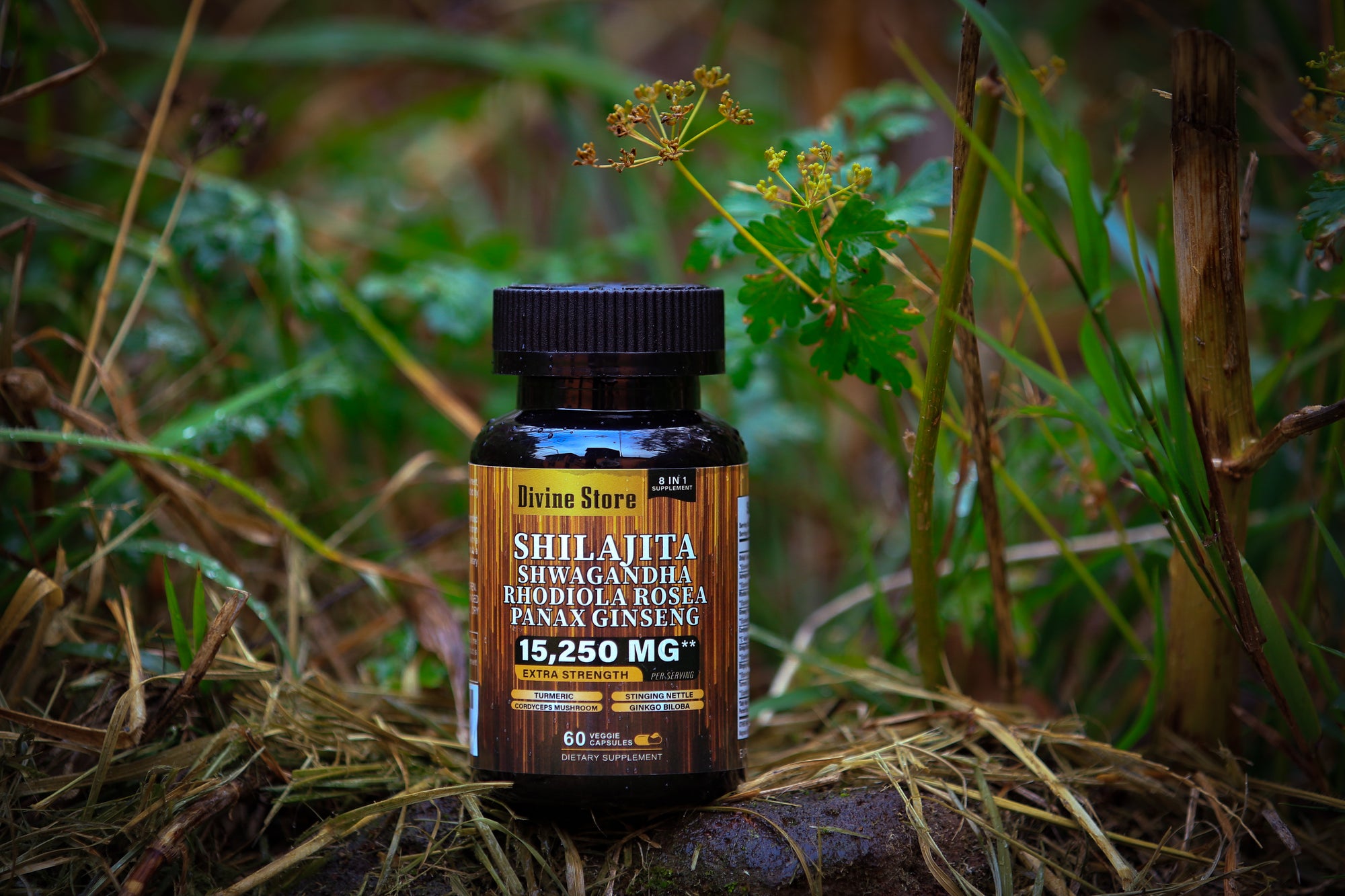 Shilajit Black Seed Oil Ginger Natural Energy Immunity Digestive Support