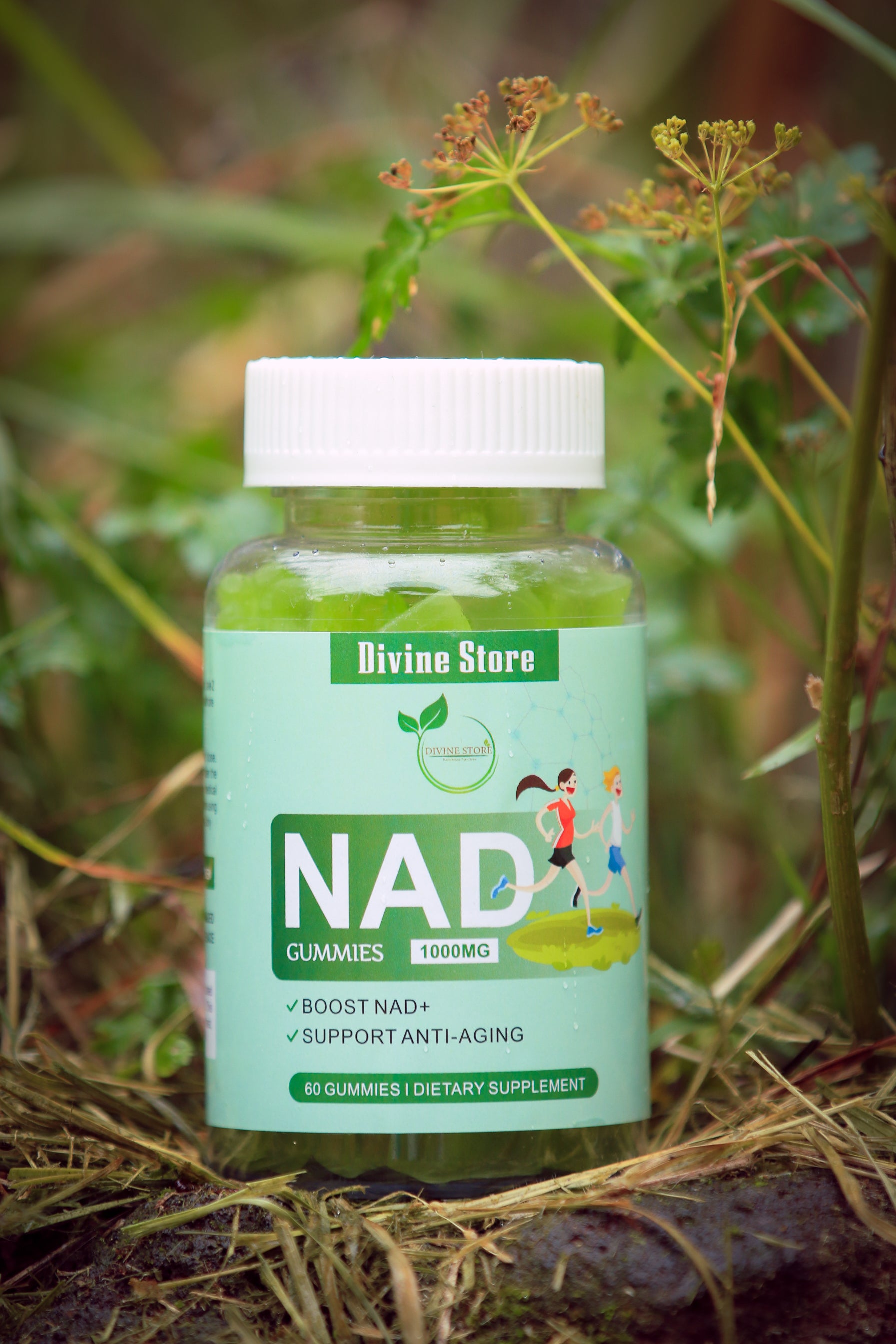 NAD+ 500mg Supplement for Energy, Focus & Healthy Aging – Vegan, Non-GMO Capsule