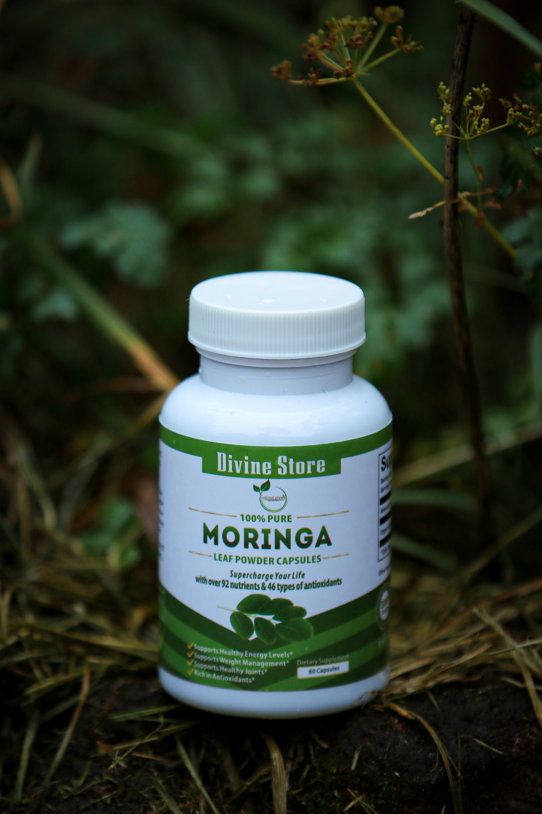 Moringa Leaf Powder 60 Caps | Energy, Detox, Immune & Health Support
