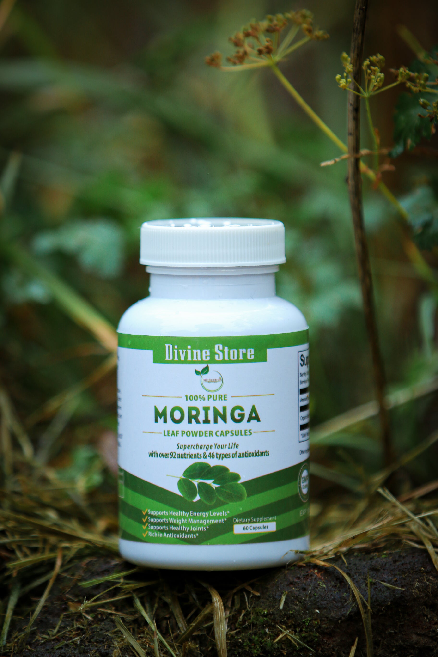 Moringa Leaf Powder 60 Caps | Energy, Detox, Immune & Health Support