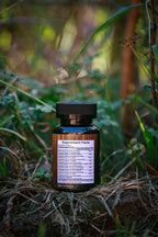 Shilajit Black Seed Oil Ginger Natural Energy Immunity Digestive Support