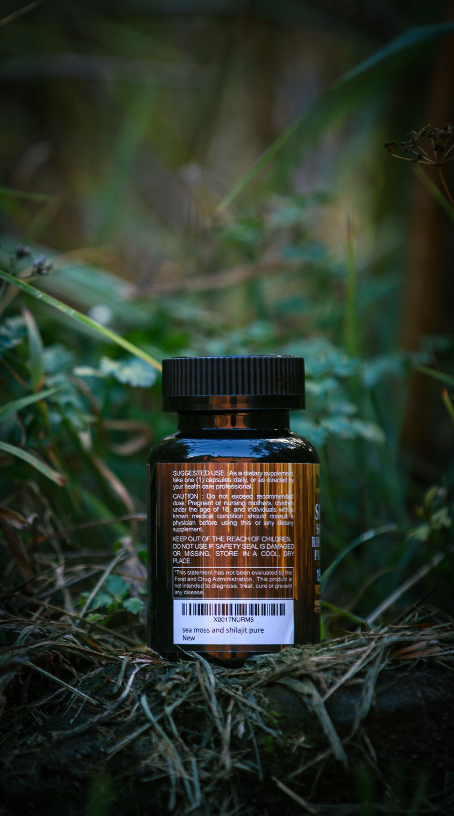 Shilajit Black Seed Oil Ginger Natural Energy Immunity Digestive Support