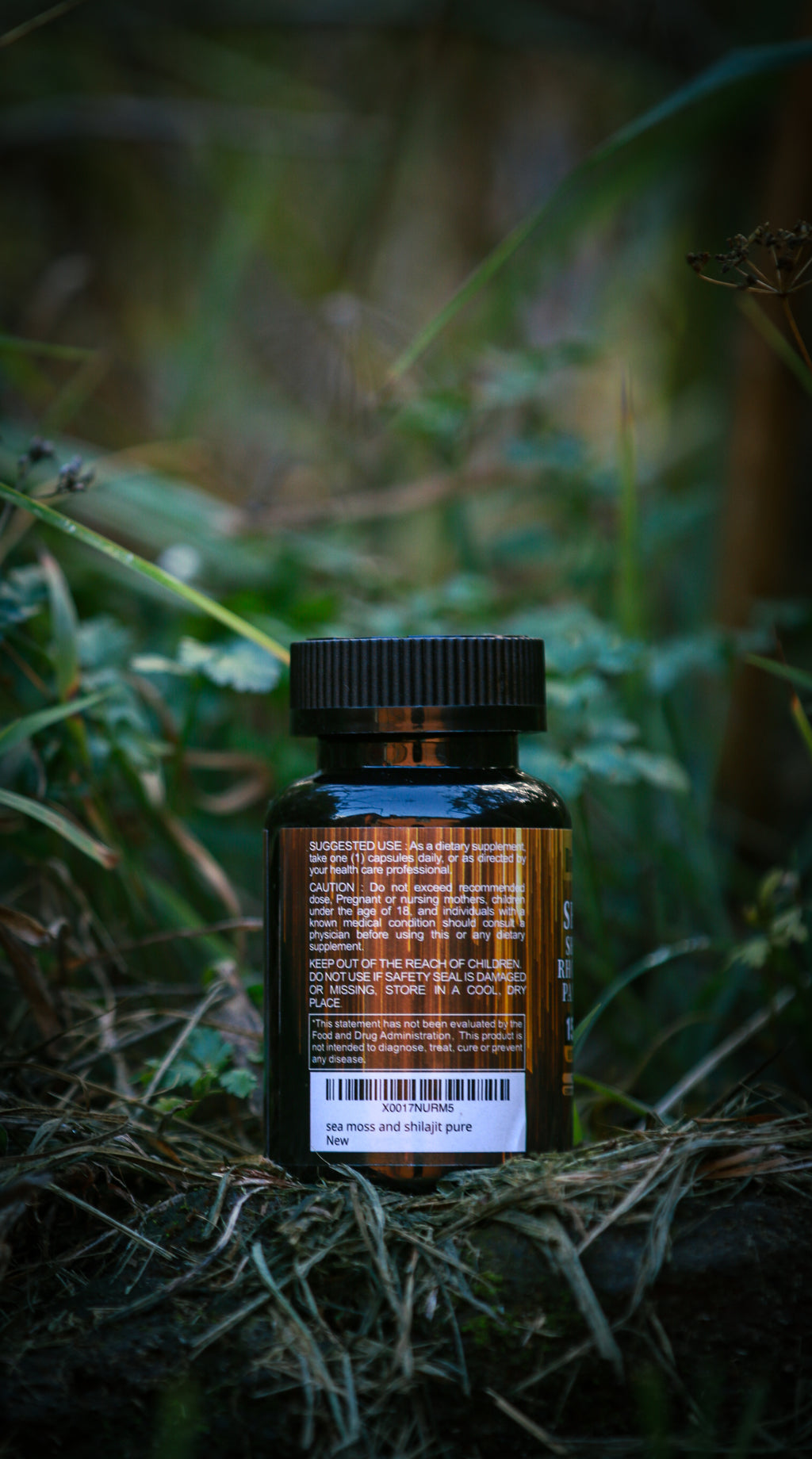 Shilajit Black Seed Oil Ginger Natural Energy Immunity Digestive Support