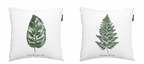Palm Leaf_Makoyana