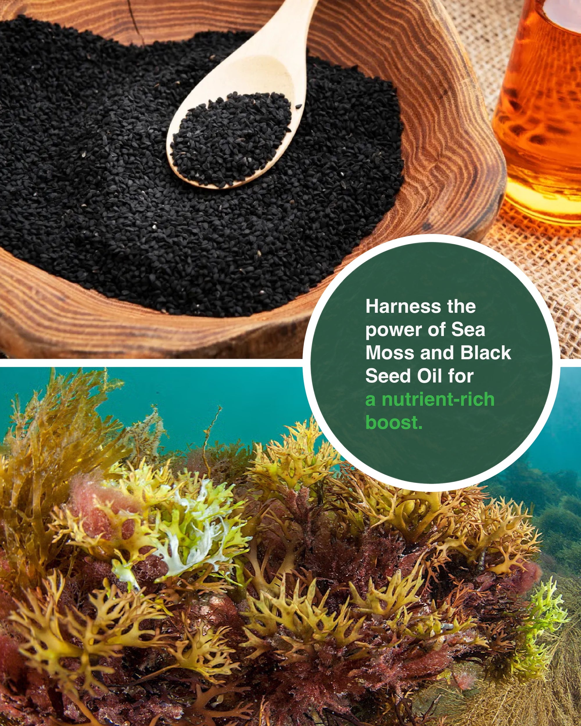 Sea Moss Black Seed Oil Ashwagandha Ginger Capsules – Energy, Stress, Immunity