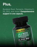 Sea Moss Black Seed Oil Ashwagandha Ginger Capsules – Energy, Stress, Immunity
